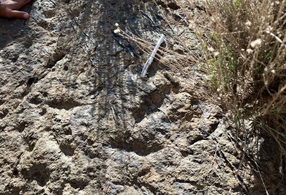 مقام‌های شهرستان زرند از کشف رد پای جدید از دایناسورهای میلیون‌ها سال قبل خبر دادند