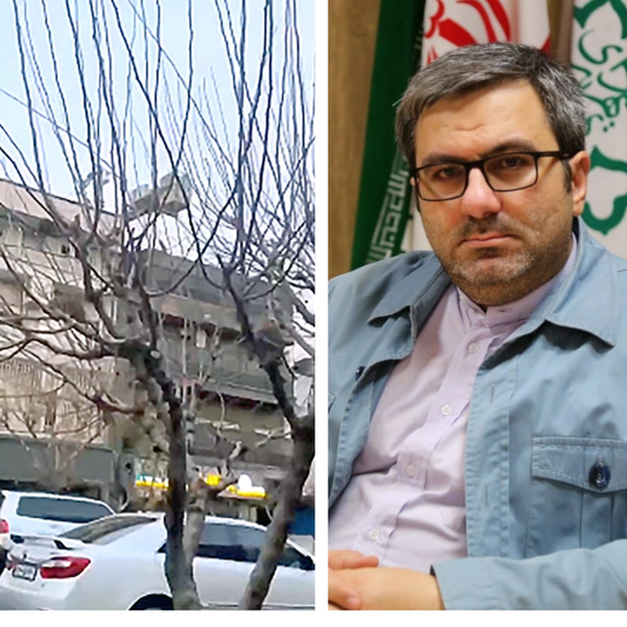 شهرداری تهران ویدیوی تجمع موشها روی درخت در خیابان طالقانی را «ساختگی» خواند