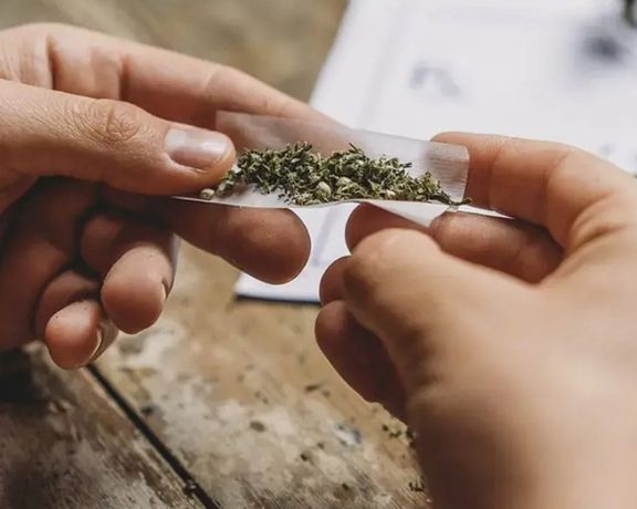 یک روانپزشک و درمانگر اعتیاد: گل موجود در ایران با قارچ و کپک مخلوط شده است