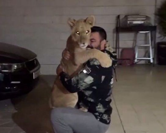 رییس سازمان محیط زیست: نام ۲۵ درصد گونههای در حال انقراض حیات وحش در آگهیهای فروش است