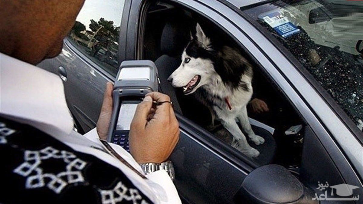 Police giving a ticket to a driver for having a dog outside the home.