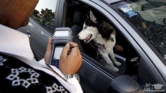 Police giving a ticket to a driver for having a dog outside the home.