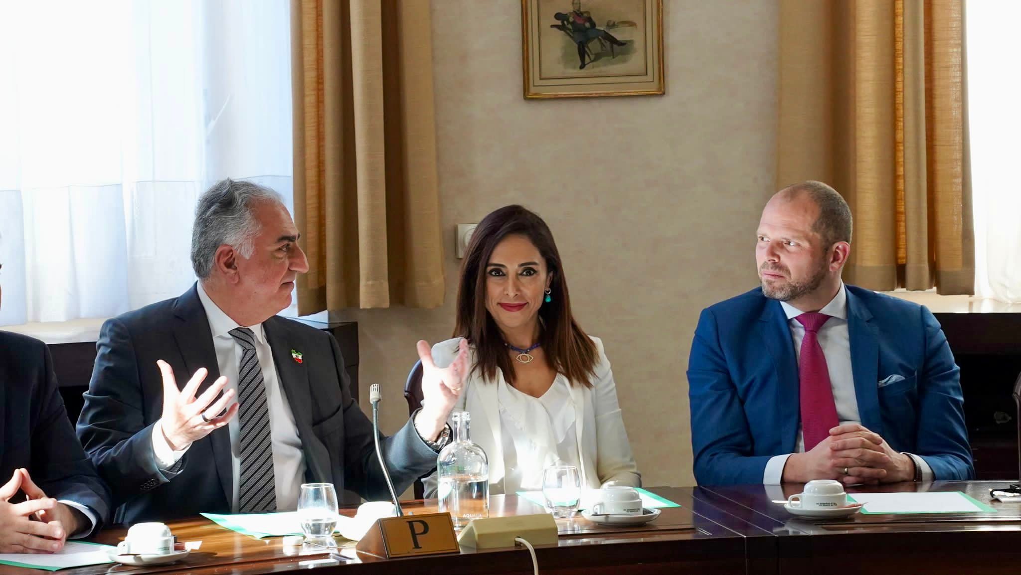 دریا صفایی، نماینده پارلمان بلژیک: فراخوان شاهزاده پهلوی برای آینده ایران سرنوشت‌ساز است