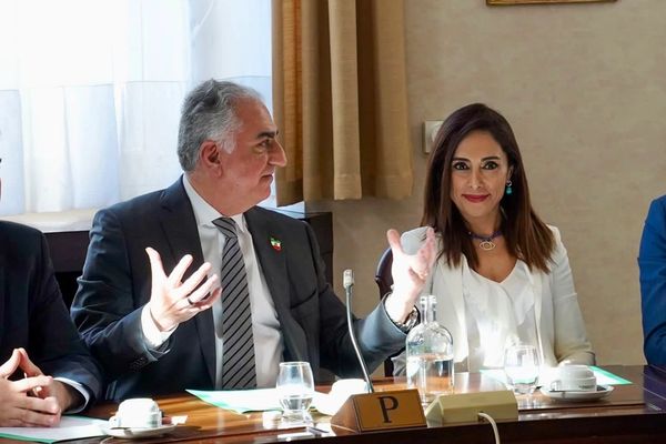 دریا صفایی، نماینده پارلمان بلژیک: فراخوان شاهزاده پهلوی برای آینده ایران سرنوشتساز است