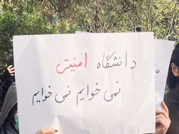 مهدی طبایی، دانشجوی دانشگاه یزد، بهدلیل پاره کردن پوستر حمایت از حمله ۷ اکتبر اخراج شد