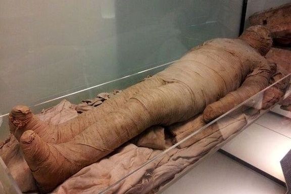 پزشکی قانونی: در هفت ماه اول سال گذشته ۵۵ جسد برای انتقال به خارج از کشور مومیایی شده است