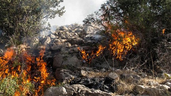 معاون استاندار کهگیلویه و بویراحمد: حریق در منطقه حفاظتشده خامی گچساران همچنان ادامه دارد