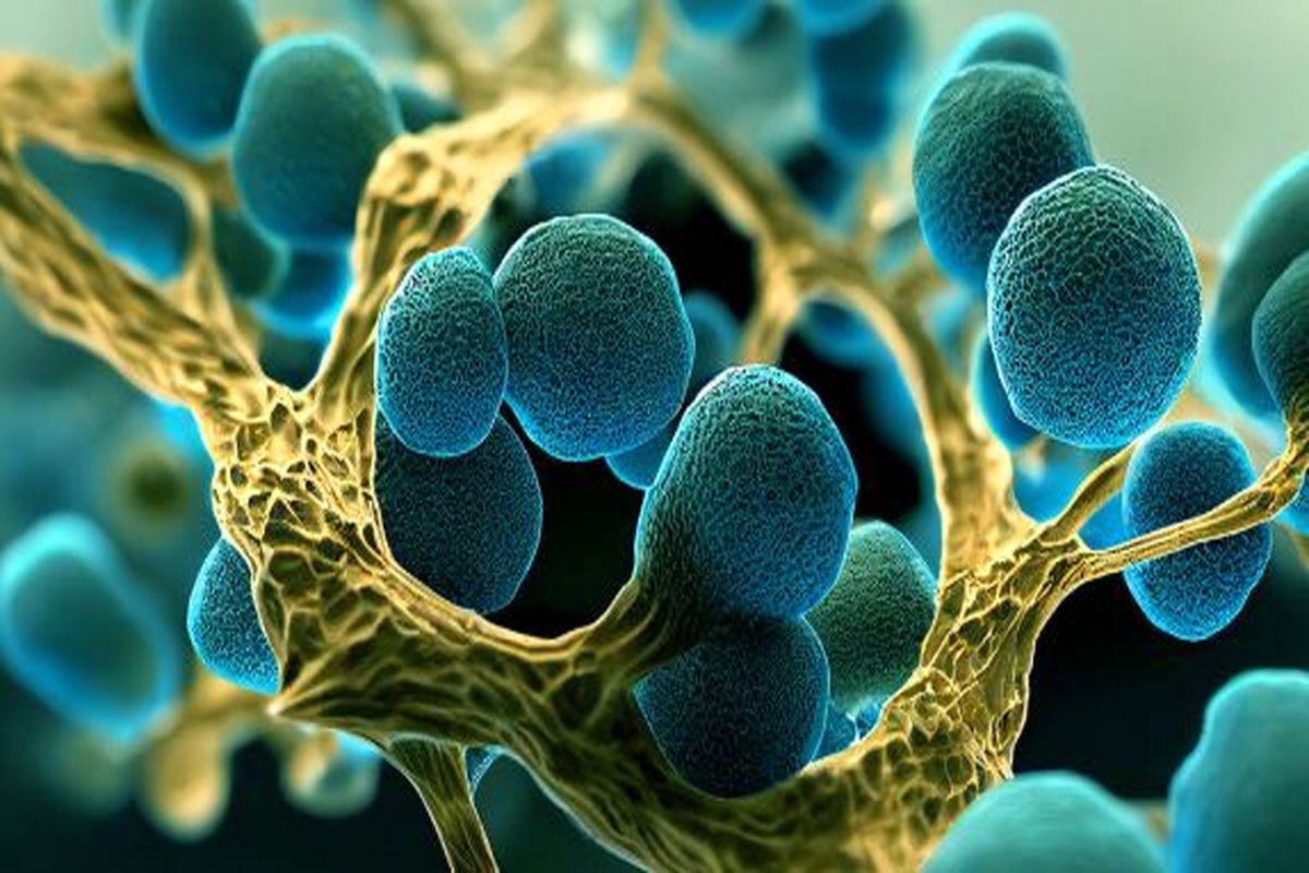 ظهور ربات‌های زیستی هوشمند، ترکیب رایانه و قارچ‌ها