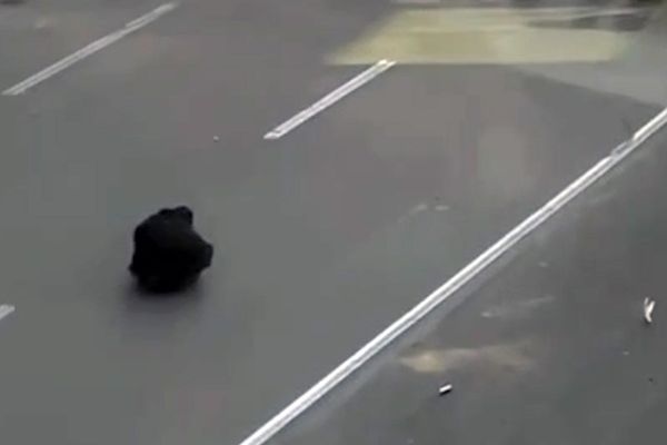 بازتاب گسترده اعتراض شجاعانه یک شهروند مقابل ماموران سرکوبگر حکومت