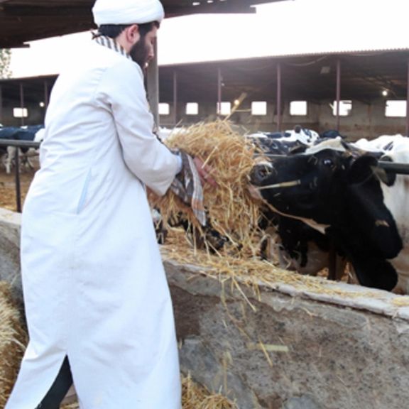 ستاد اجرایی فرمان خمینی تفاهمنامه افزایش تولید گوشت قرمز و برنج امضا کرد