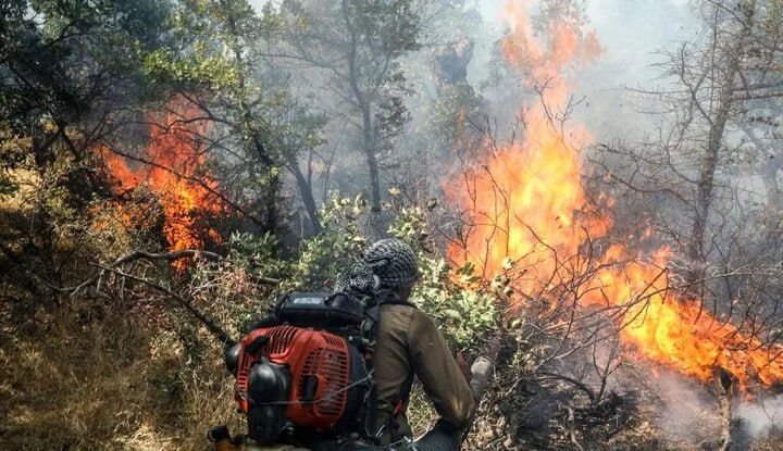 سه فعال محیط زیست هنگام مهار آتش‌سوزی در آبیدر سنندج کشته شدند