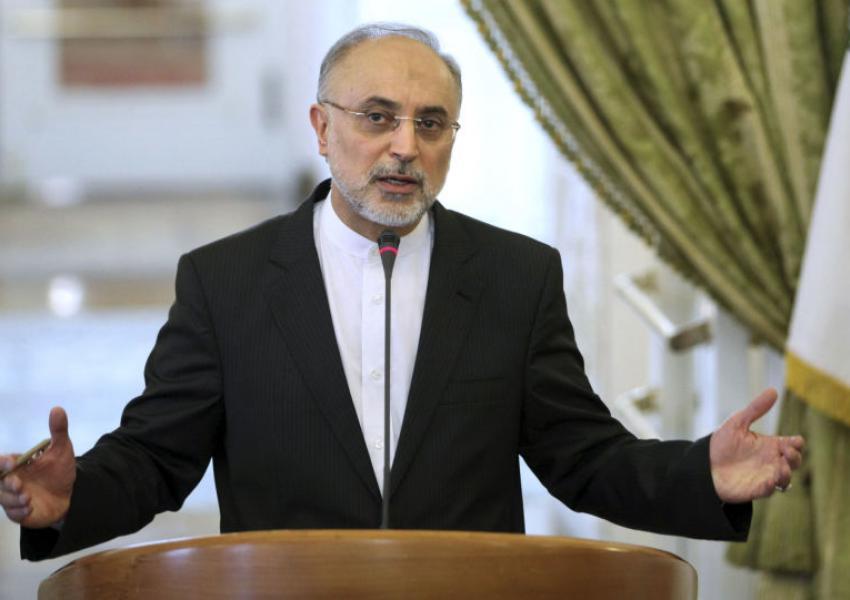 Former diplomat and Iran's ex-nuclear chief Ali-Akbar Salehi