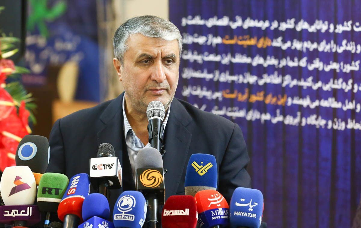 رئيس الطاقة الذرية الإيرانية: الوكالة الدولية لا تملك حق التفتيش على منشآتنا   