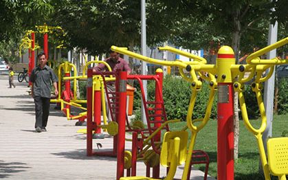 رییس فدراسیونهای ورزش همگانی: نیمی از جامعه در ایران ورزش نمیکنند