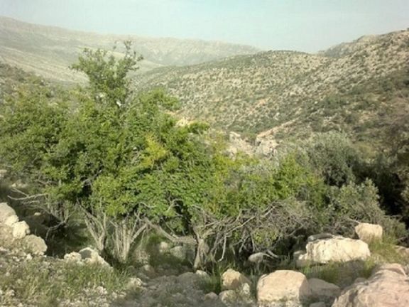 استانداری فارس از کشته شدن دو نفر در پی سقوط هواپیمای آموزشی ارتش در فیروزآباد خبر داد