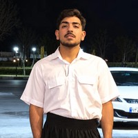 Teenager killed by gunshot to eye after arrest in Iran, source says