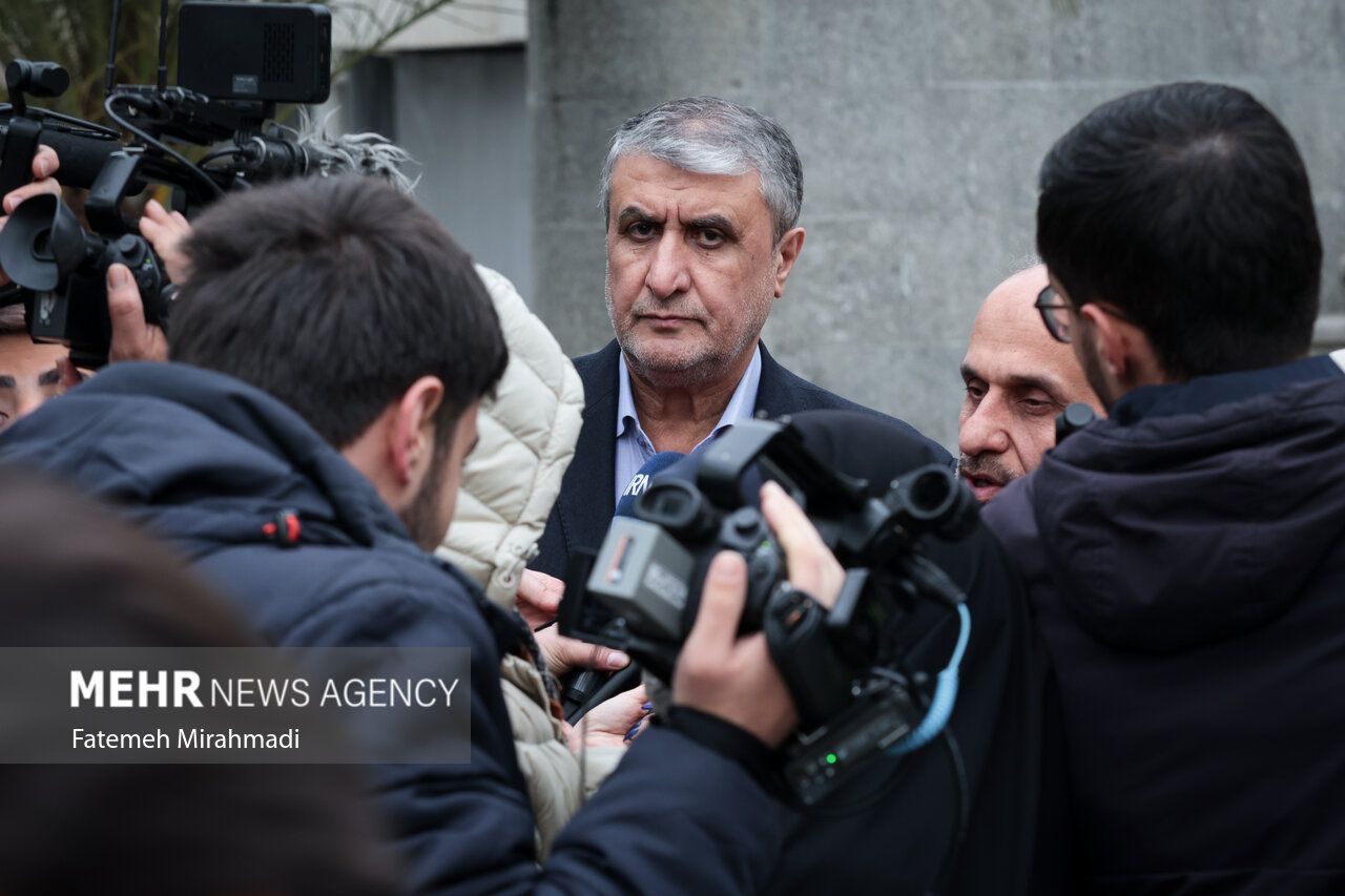 رئيس منظمة الطاقة الذرية الإيرانية: جميع الدول تطلب منتجاتنا النووية