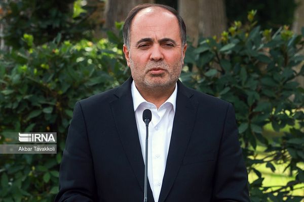 وزیر کشاورزی: قیمت مرغ به خاطر گرمای هوا و کمبود برق بالا رفته بود
