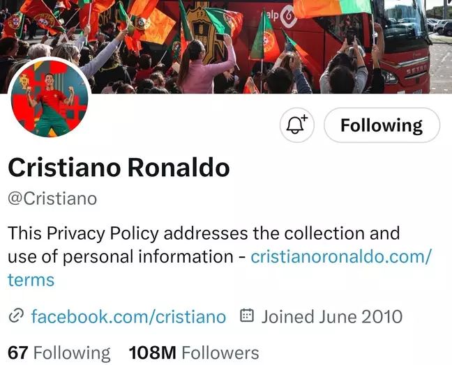 حذف تیک آبی توییتر؛ ایلان ماسک به رونالدو هم رحم نکرد طارمی و ماهینی هم حذف شدند