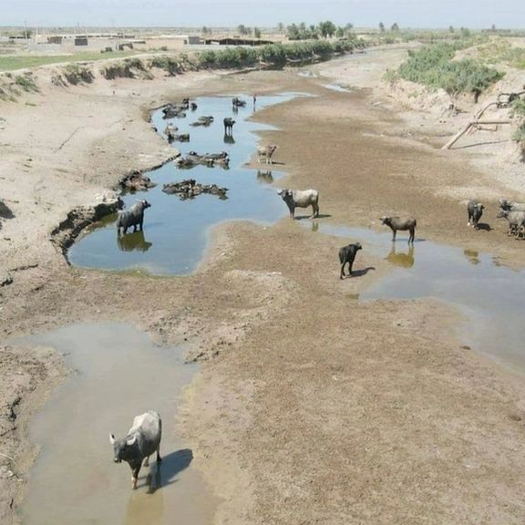 نفسهای هور به شماره افتاده است؛ میدان نفتی جدید تالاب هورالعظیم را خشک میکند