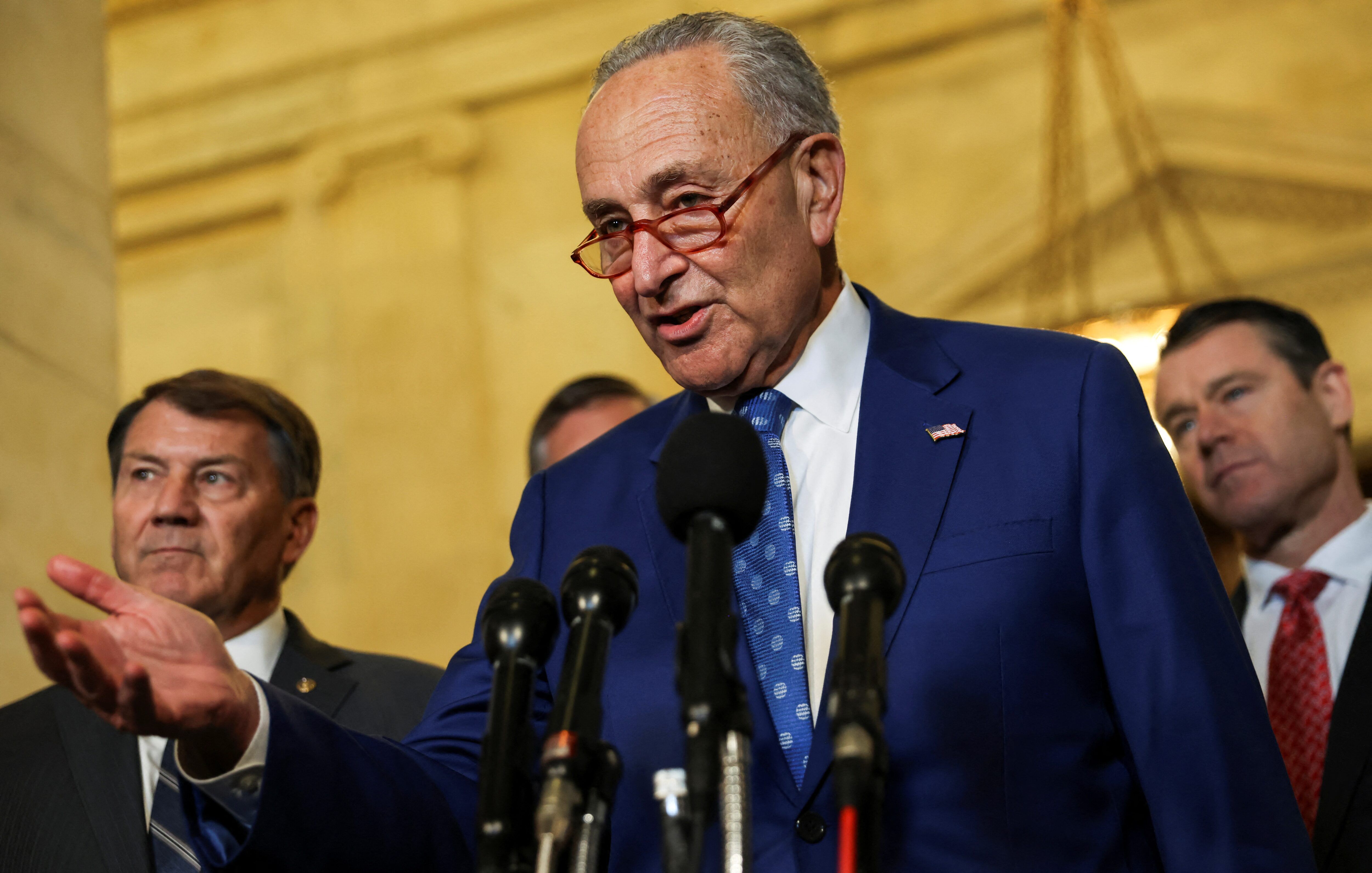 Senate Majority Leader Chuck Schumer (D-NY) 