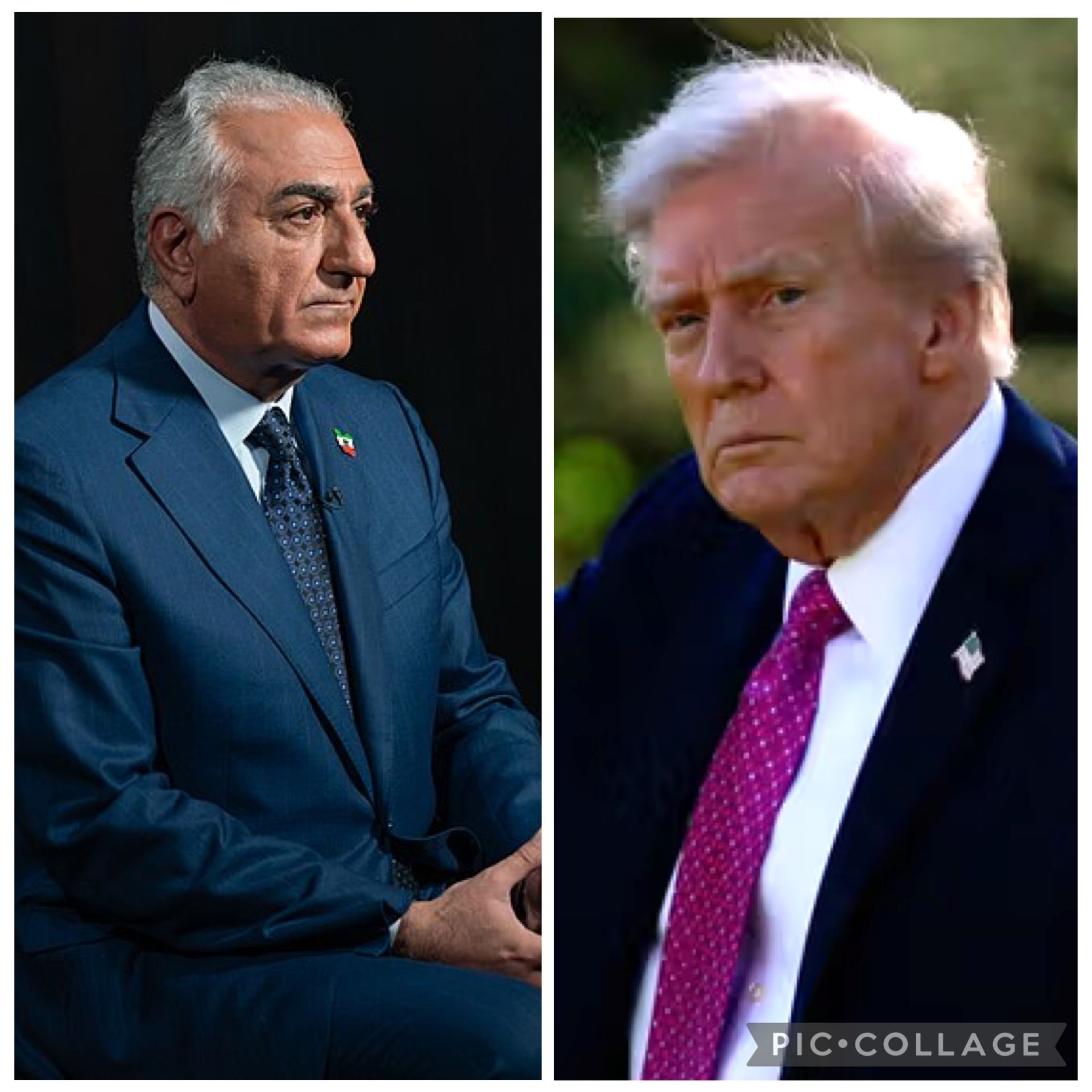 شاهزاده پهلوی به ترامپ: لطفا برای مداخله و کمک به مردم ایران آماده باشید