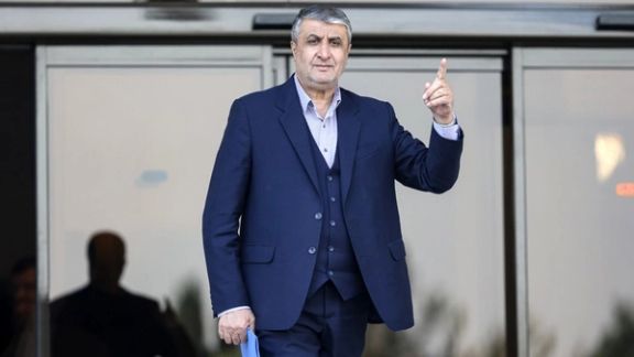 رئيس الطاقة الذرية الإيرانية: لم نتكبد خسائر بشرية في الحرب و"المقتولون" أساتذة جامعيون