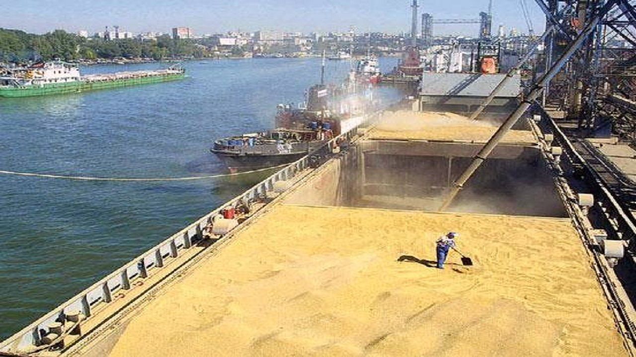 Iran Needs At Least 7 Million Tons Of Wheat Imports This Year 