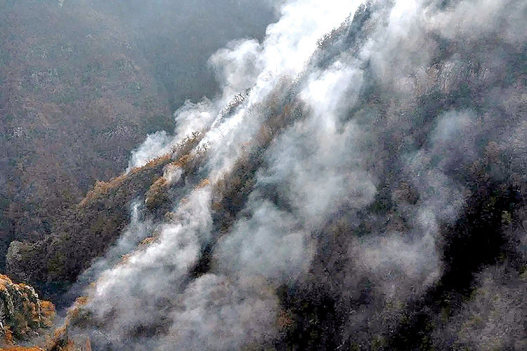 وزش باد آتش‌سوزی در جنگل‌های الیت چالوس را دوباره شعله‌ور کرد