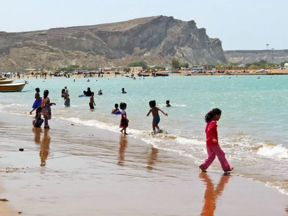 از آغاز نوروز بیش از ۵۵۰ مورد گزیدگی عروسدریایی در ساحل چابهار اتفاق افتاده