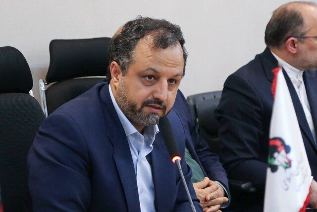 وزیر امور اقتصادی و دارایی: شرکت چای دبش پولی از کشور خارج نکرده است