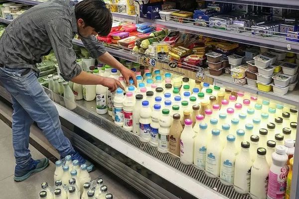 مدیرعامل اتحادیه تعاونیهای لبنی: قیمت لبنیات از ابتدای خرداد ۲۰ درصد افزایش یافته است