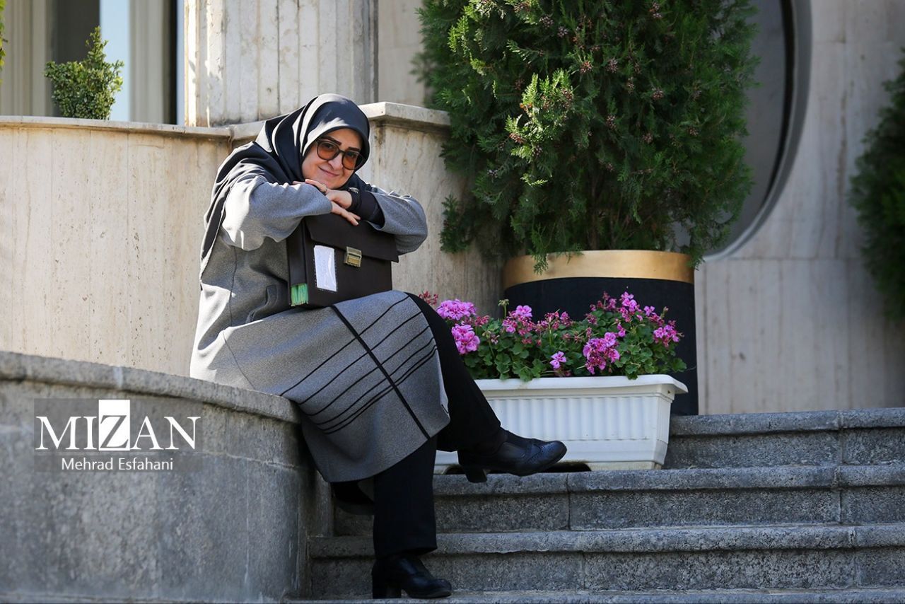 سخنگوی دولت: خودروهایی که جدید شماره‌گذاری می‌شوند سهمیه بنزین ندارند