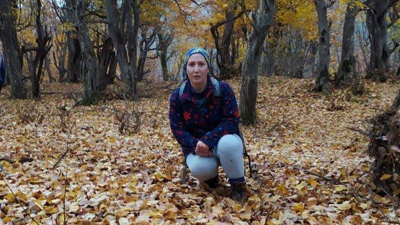 ۳۱ سازمان مدافع حقوق بشر: اتهامات شریفه محمدی بیاساس و پروندهسازی امنیتی است