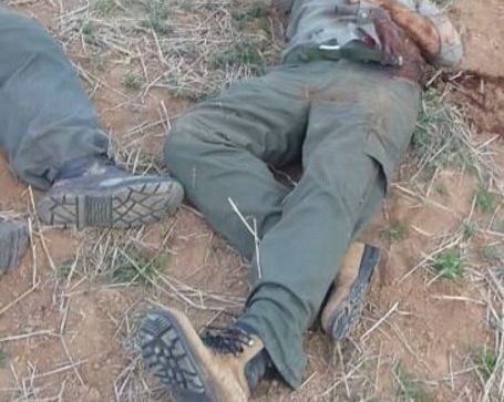 فرمانده یگان حفاظت محیط زیست: به سر دو محیطبان کشتهشده در زنجان تیر خورده است