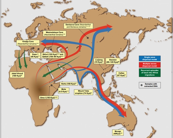 Putative migration waves out of Africa and location of some of the most relevant ancient human remains and archeological sites.