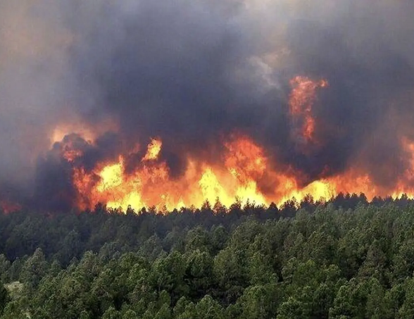 افزایش هشدارها درباره تبعات حریق جنگل‌های هیرکانی؛ کاربران از بی‌تفاوتی حکومت انتقاد کردند