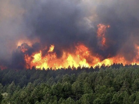 افزایش هشدارها درباره تبعات حریق جنگلهای هیرکانی؛ کاربران از بیتفاوتی حکومت انتقاد کردند