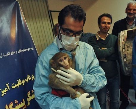 خبرگزاری تسنیم: دو میمونفضانورد ایرانی زاد و ولد کرده و همسر و فرزند دارند