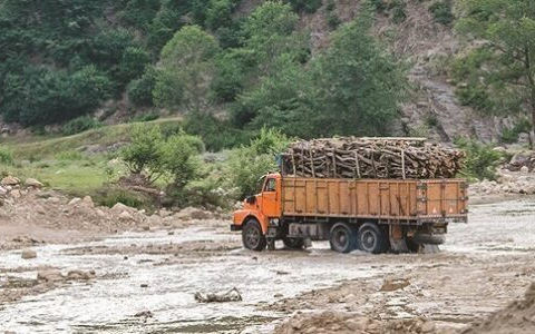 مدیر منابع طبیعی مازندران: دو جنگلبان بر اثر تیراندازی قاچاقچیان چوب زخمی شدند