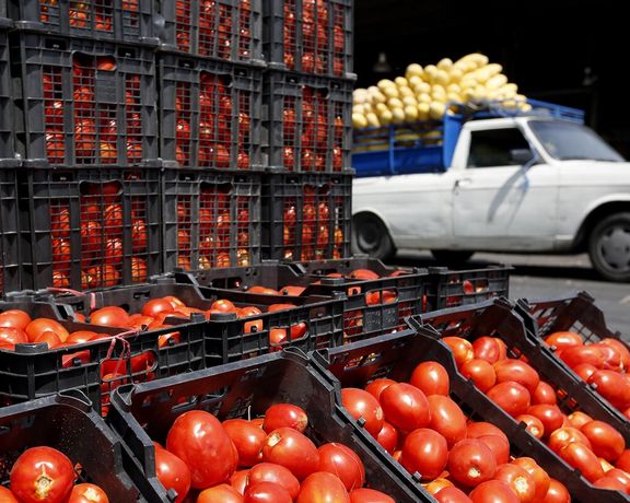 رییس اتحادیه بارفروشان: گرانی رب ربطی به افزایش قیمت گوجه ندارد