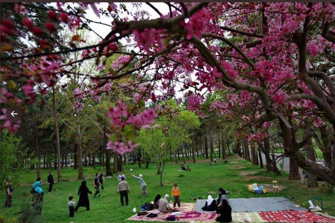 Iranians Celebrate Spring Picnic Day Despite Ramadan Restrictions