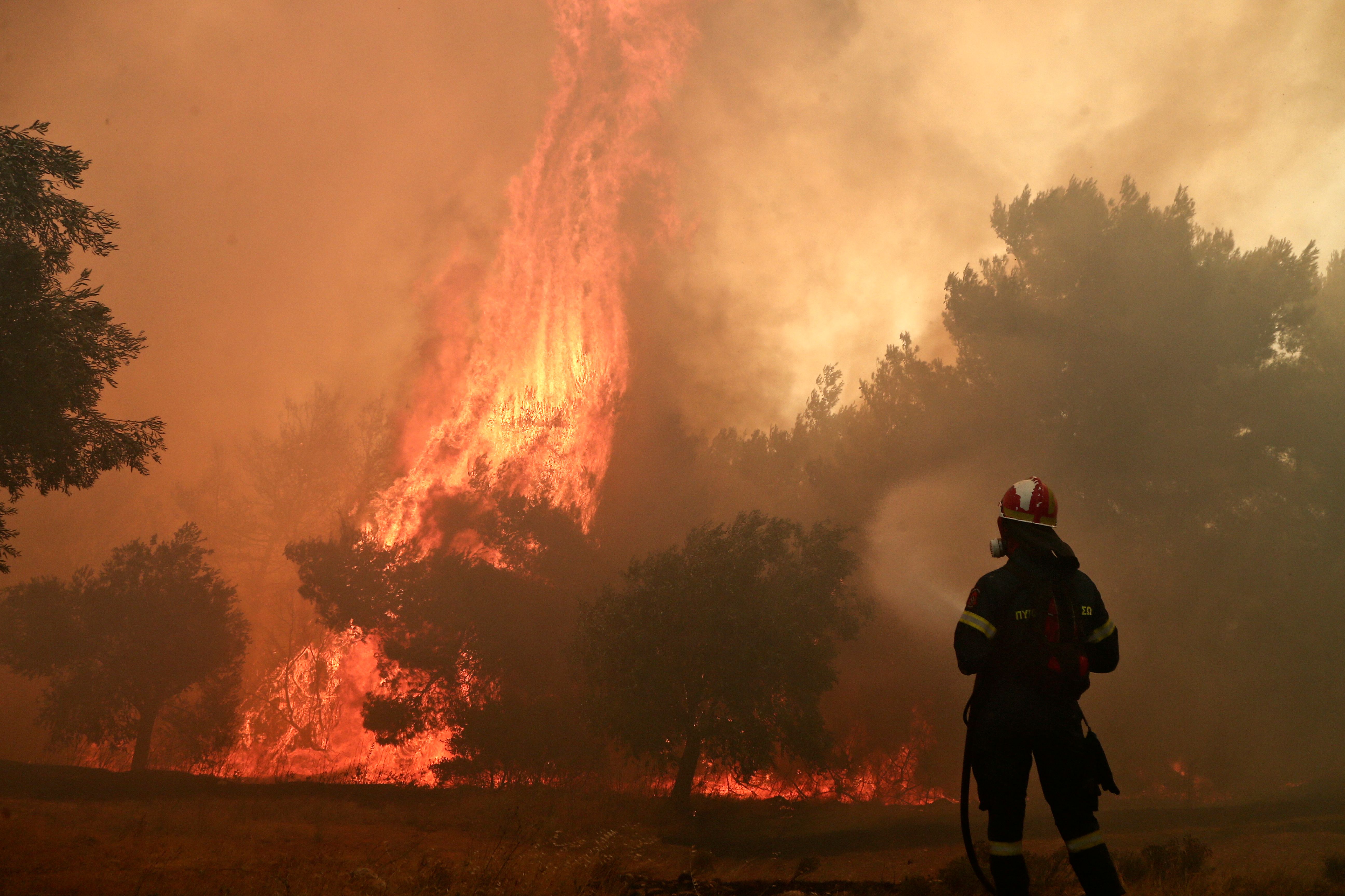 تخلیه بیمارستان‌ها و روستاها در یونان در پی نزدیک شدن آتش‌ به آتن