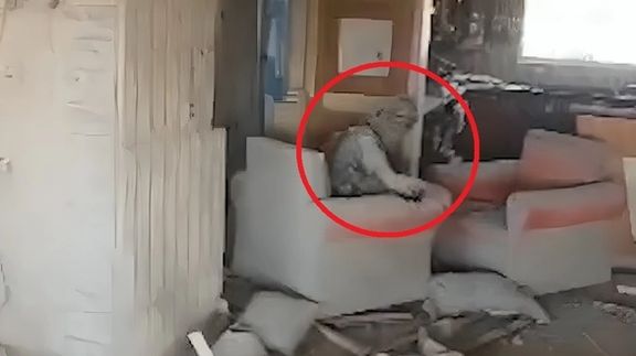 تایمز اسرائیل: سنوار در تلاش برای فرار از رفح بود و ۱۰ هزار دلار همراهش کشف شد