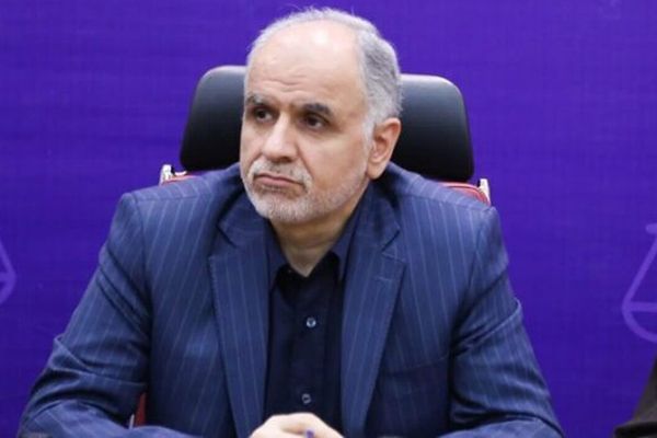 وزیر دادگستری: طرح پیشنهادی مجلس محدودیتی برای تعداد سکه در مهریه قرار نداده است