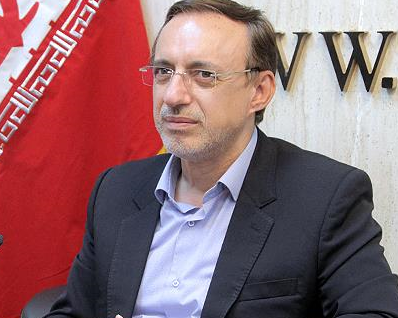 عضو کمیسیون آموزش مجلس: موج ورود نخبگان به کشور امیدوارکننده است