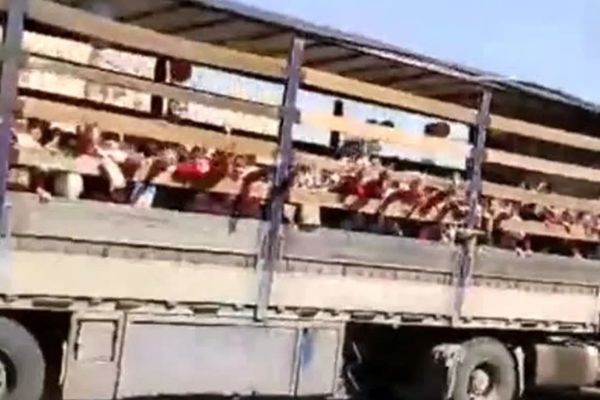 آموزش و پرورش جهرم از حملونقل دانشآموزان با کامیون «حمل دام» ابراز تاسف کرد