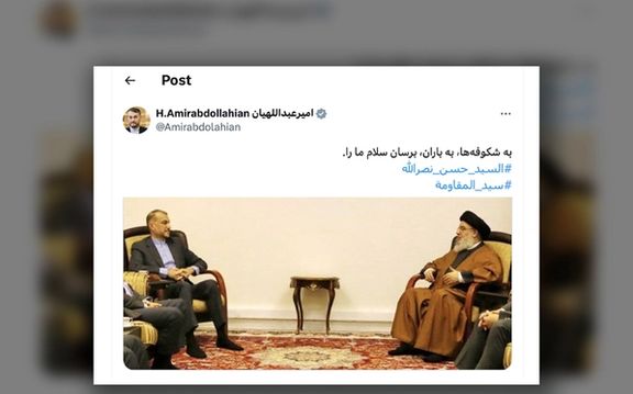 حساب ایکس حسین امیرعبداللهیان: به شکوفهها، به باران، برسان سلام ما را