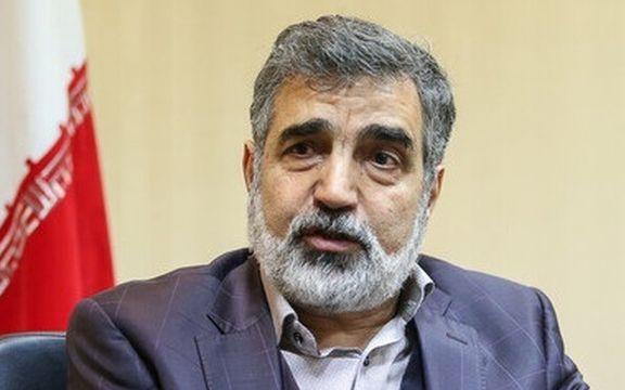 سخنگوی سازمان انرژی اتمی: ما به دلایل اعتقادی و انسانی دنبال سلاح اتمی نیستیم