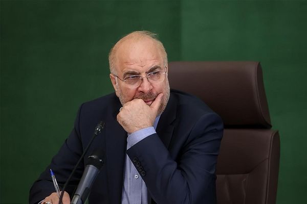 Iran’s Speaker Criticized for Election-Time Promises on Afghan Migrant Issue